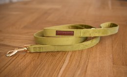 Velvy olivia leash, a durable and stylish dog leash made of high-quality materials in a vibrant green color.