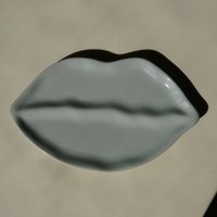 Sisi plate, lips gray