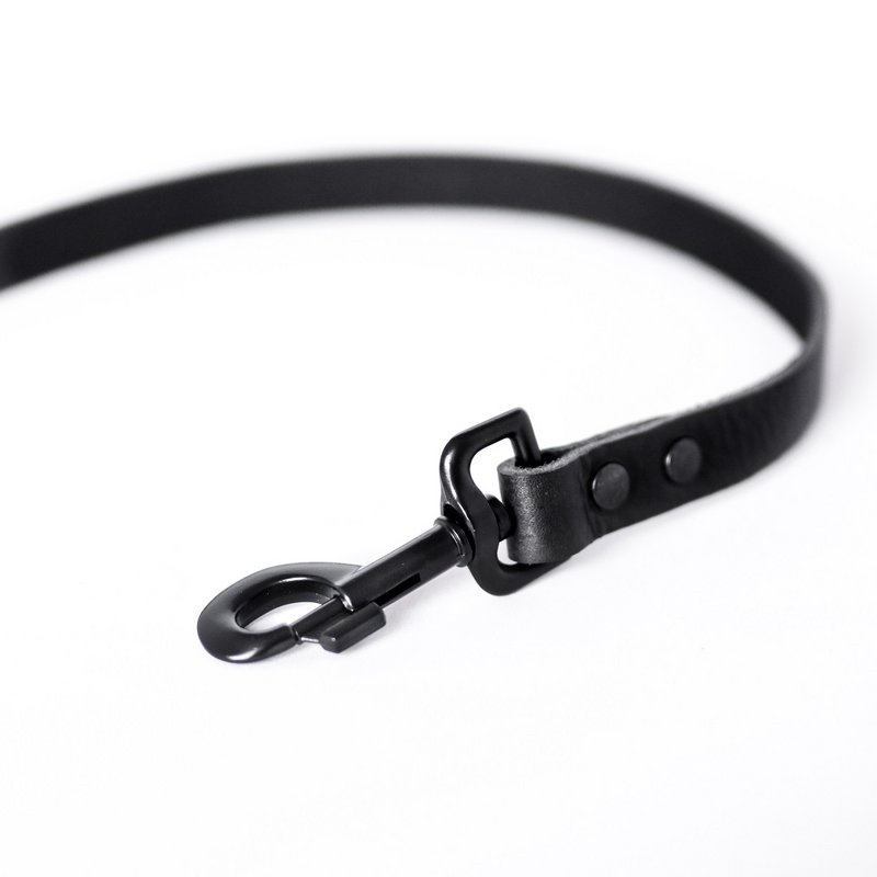 No fuss dog leash | Black
