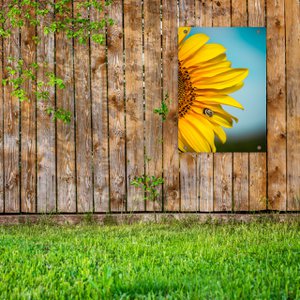 Tuinposter Zonnebloemen