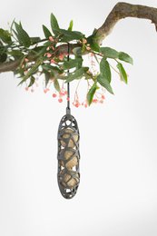 A round, fat bird feeder made of recycled materials, hanging from a tree branch and filled with bird seed, attracting a group of small birds.