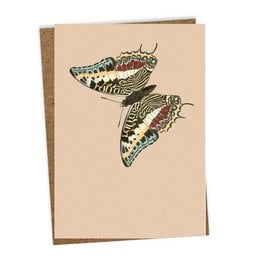 Colorful, patterned butterfly on a greeting card. The card features a detailed, artistic illustration of a butterfly with intricate wings in shades of green, blue, and brown.