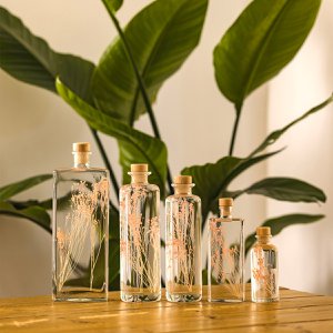 Het Herbarium - roze bezem-ondergedompelde plant