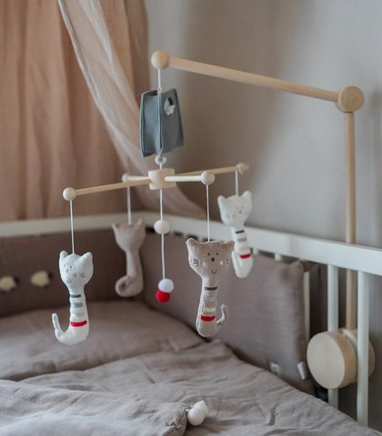 Ferry Cat - Musikmobile