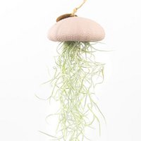 Luchtplantje hanger – zee-egel met tillandsia – roze – large