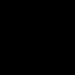Set von 4 Kreisen Perlenhandtücher