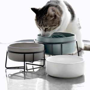 GIZMO Ceramic Drinking and Feeding Bowls with Stand