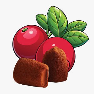 Crispy Rice chocolate truffles - bulk