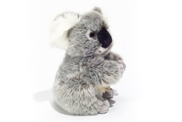 Koala 21 cm - plush toy - soft toy