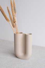 Vaso Odessa