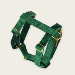 Emerald green velvet pet harness with adjustable straps and gold-tone hardware.