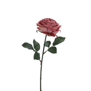 Rose Velvet, 1 Blauw, L38cm, roze-rosa