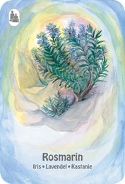 "Quartet of wild herbs, including rosemary and einbeere, in a whimsical, nature-inspired illustration."