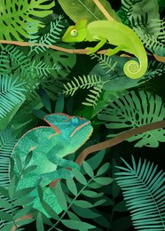 Poster - Chameleons