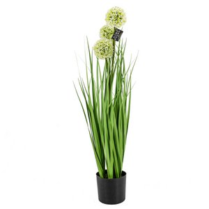 Kunstrasen Allium
