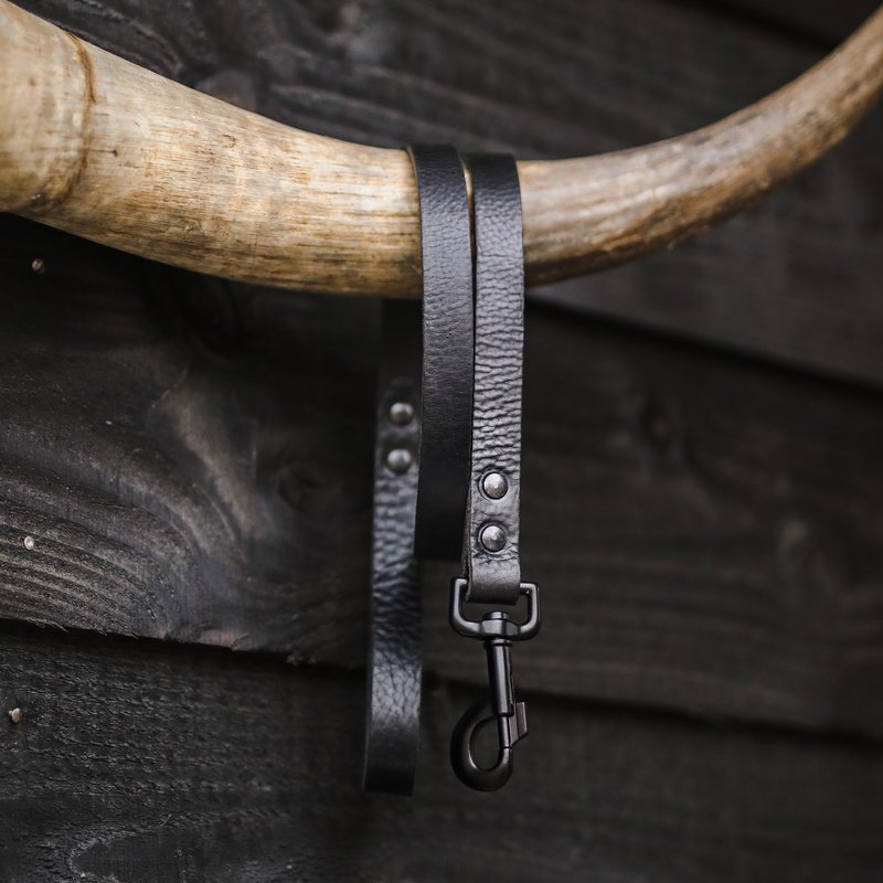 No fuss dog leash | Black