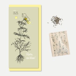 Greeting card with seeds, featuring floral illustrations and text. The card is categorized as a Baby Card.