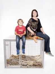 Dog Box Square Edition KÜRAß Extra Large