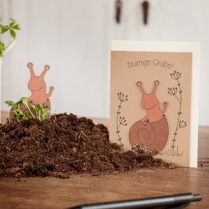 Saatstecker-Karte - Blumige Grüße - Schnecke