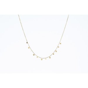 Ketten iris | Premium roestvrij staal