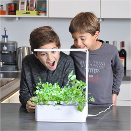 indoor moestuin