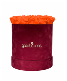 Velvet Bordeaux Collection