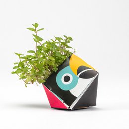 1 OriBon+ - Collezione di animali della foresta pluviale