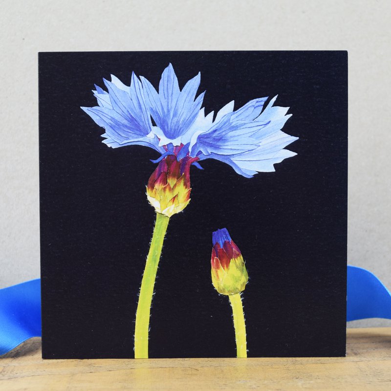 Tarjeta de aciano (tarjetas de flores)