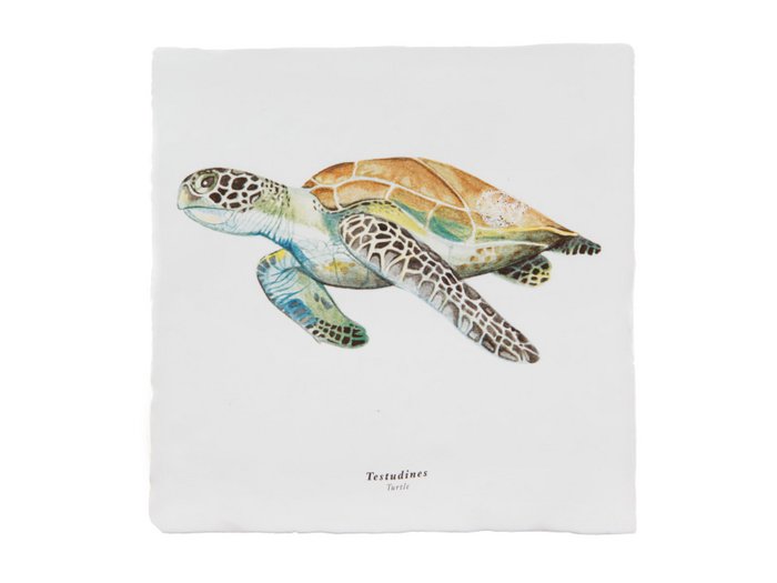 Rebellenclub x Lisa Tile - Turtle