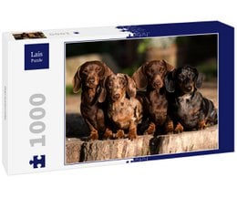 A 1000-piece puzzle featuring a group of dachshund puppies sitting on a log. The puppies have a brown and black spotted coat, and they are looking directly at the camera.