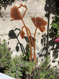 Valmue med blomsterknop | corten stål