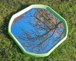  Octagonal tray with a reflective surface showing the branches of a tree against a blue sky.