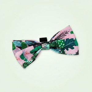 Cactus dog bow tie