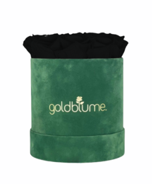 Colección Terciopelo Verde
