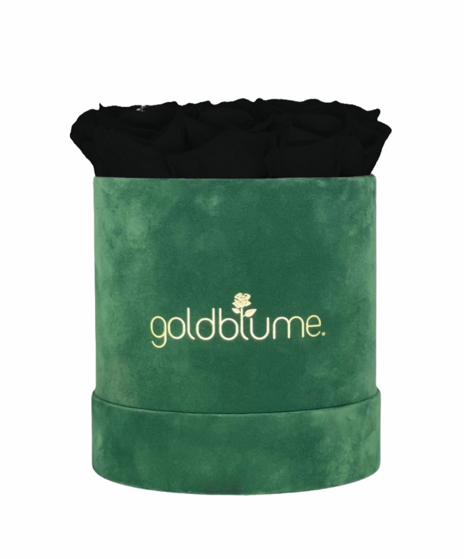 Colección Terciopelo Verde
