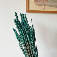 Wheat Green Dried Flowers