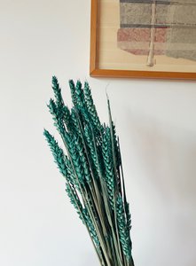 Tarwe Groene Gedroogde Bloemen