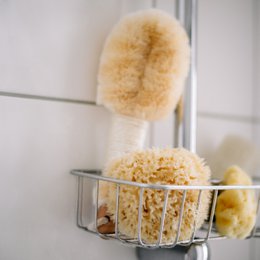 Éponge de mer naturelle pour bain et bébé