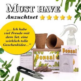 Bonsai - growbro - Kit de culture Wisteria avec cartes climatiques, cultivez votre propre bonsaï bro, cadeaux pour femmes et hommes, kit de démarrage bonsaï