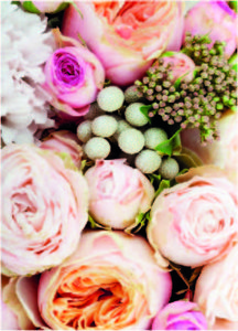Card pink flowers