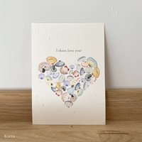 Greeting card - shells for Valentine