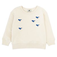 Kindersweater Dino