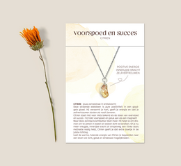  Amazonite pendant necklace, natural stone, calming and soothing properties, simple and elegant design, silver-tone chain.