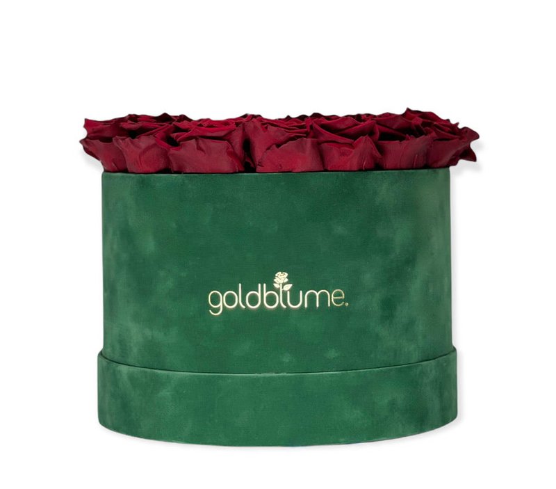 Colección Terciopelo Verde