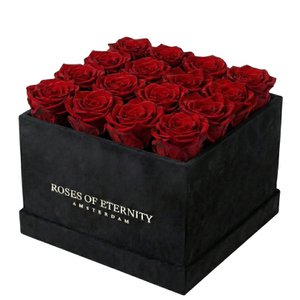 Squared Eternity (M)