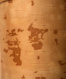 scatola di cereali