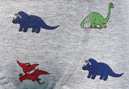 Pack de 2, pantalones cortos, Dinosaurier