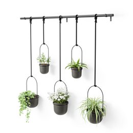 Hanging planters set of 5, black and white, round pots, suspended plant holders, modern minimalist design.