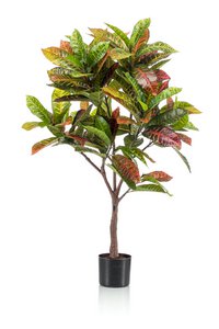 Art plant - Croton Codiaeum - Wonder bush - 120 cm
