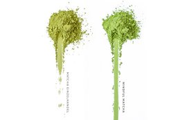 Mindful Matcha - Bio- 30g (148,33€ / 100g)